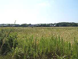 志摩市阿児町甲賀字入門 住宅用地