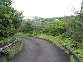 土地 志摩市磯部町的矢