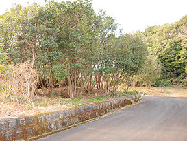 土地 志摩市阿児町国府