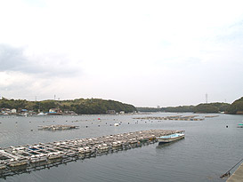 志摩市志摩町片田字孤塚 土地物件