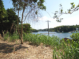 志摩市志摩町片田字常滑 土地物件