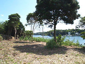 志摩市志摩町片田字常滑 土地物件