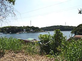 志摩市志摩町片田字常滑 土地物件