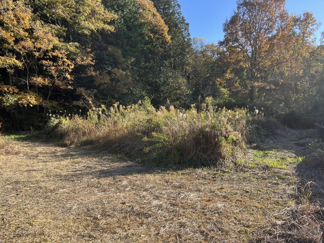 多気郡多気町油夫字堀田浦　住宅用地