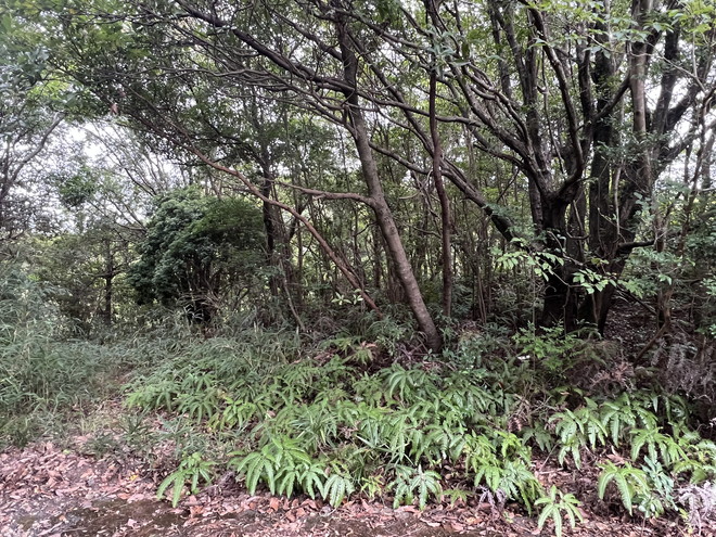 志摩市阿児町鵜方 住宅用地