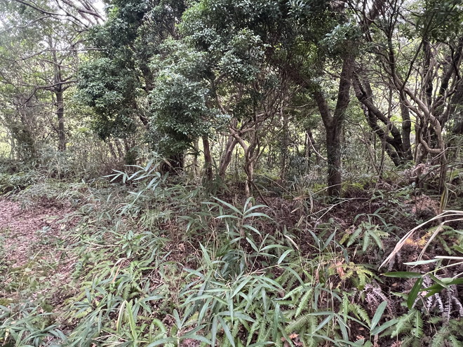 志摩市阿児町鵜方 住宅用地