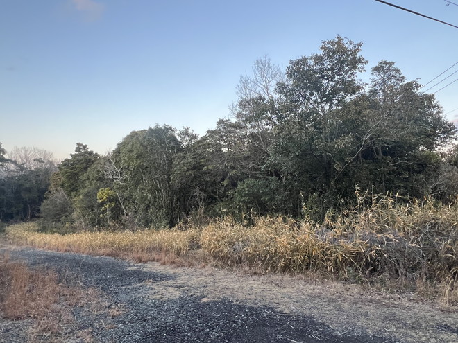 志摩市阿児町国府　住宅用地