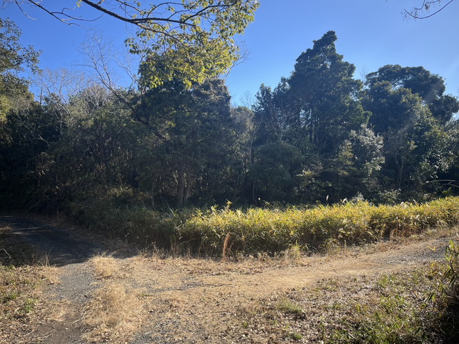 志摩市阿児町国府　住宅用地