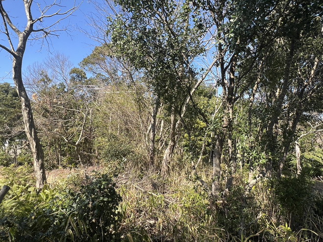 志摩市阿児町鵜方　住宅用地