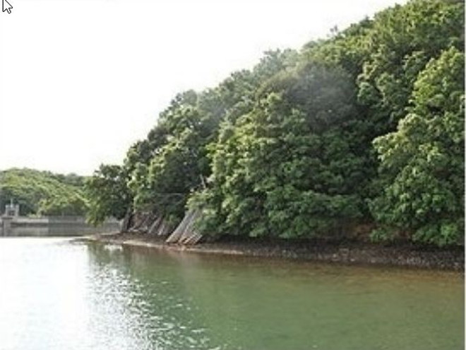 志摩市阿児町国府　土地物件