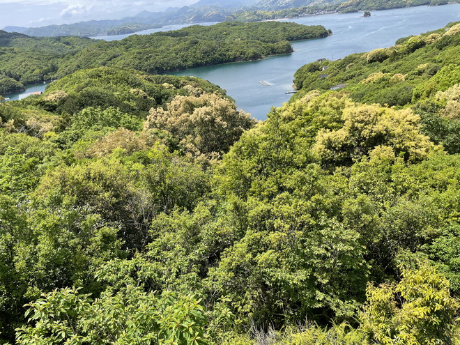 度会郡南伊勢町木谷　土地物件